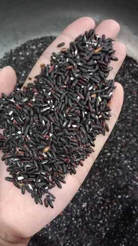 Black Rice