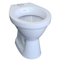 EWC Concealed White Toilet Set
