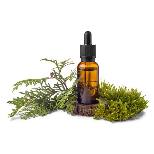 Cedarwood Essential Oil - High Purity Herbal Extract , Liquid for Adult Use - Store in Cool Place