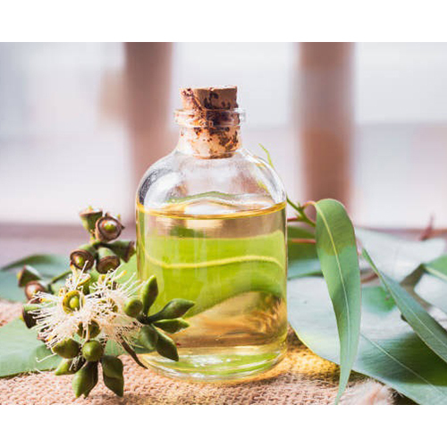 Ecalyputus Essential Oil