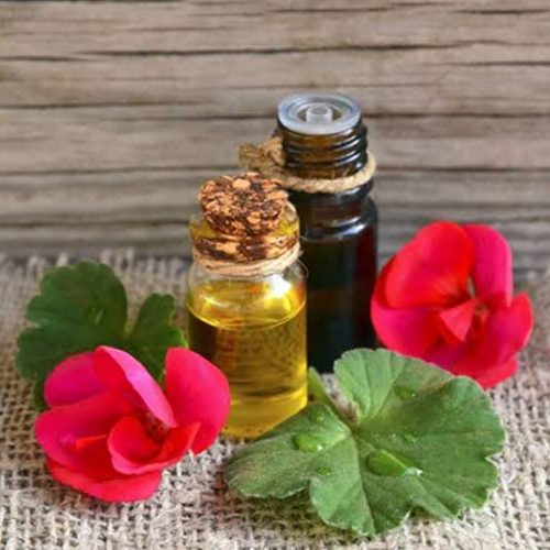 Geeranium Essential Oil