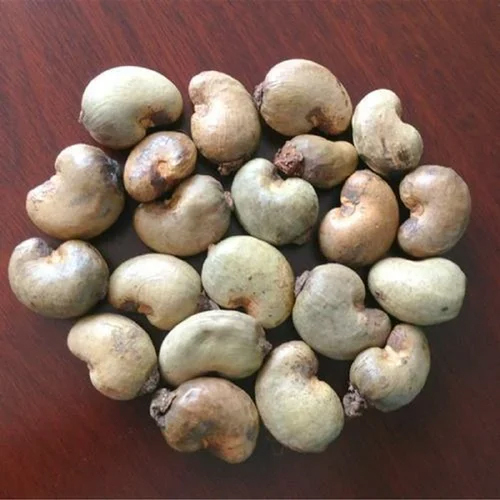 Raw Cashew Nuts