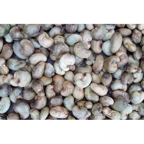 Raw Cashew Nuts