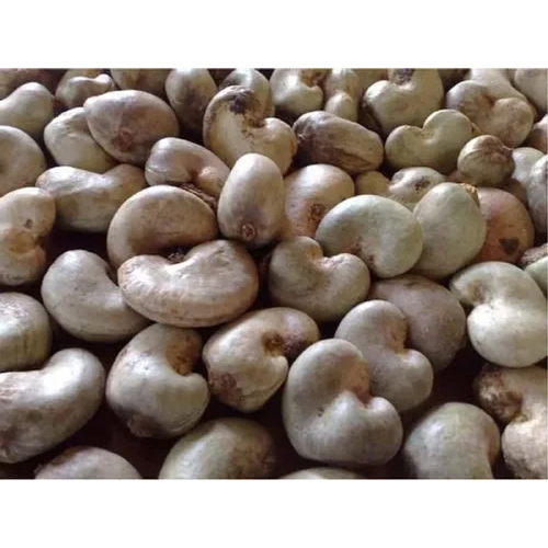 Raw Cashew Nuts