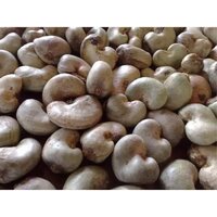 Raw Cashew Nuts