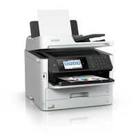 Epson RIP Printer