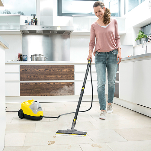 Steam Cleaner