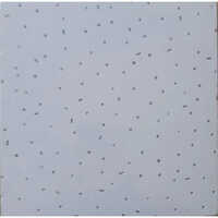 Calcium Silicate Tile - 600x600mm, White Color, 8mm Thickness | Waterproof, Acid-resistant, Full Body Glazed Finish, Perfect For Hospital Ceilings