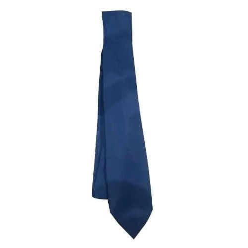 School Blue Tie Age Group: Children