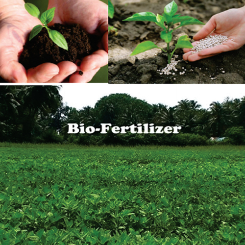 Bio Fertilizer Biopestiside