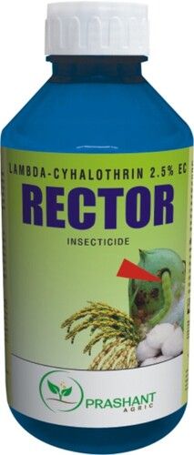 RECTOR (LAMBDA - CYHALOTHRIN 2.5 % EC)