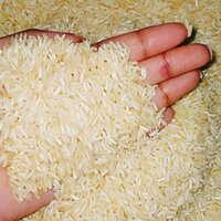 ORGANIC BASMATI RICE