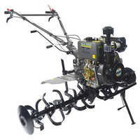 Diesel Power Weeder 9HP