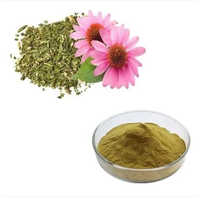 Echinacea Extract  (4%)