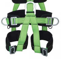 Green & Black Pn 56 Karam Safety Belt