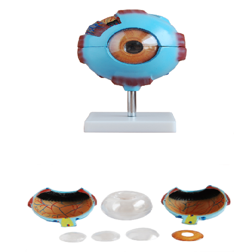 XC-316 Giant Eye Model