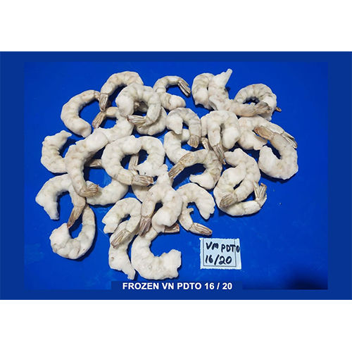 Frozen VN PDTO 16-20 Marine Food