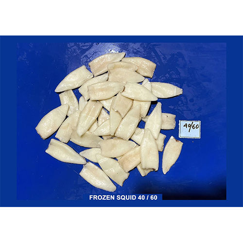 Sea Food Frozen Squid 40-16