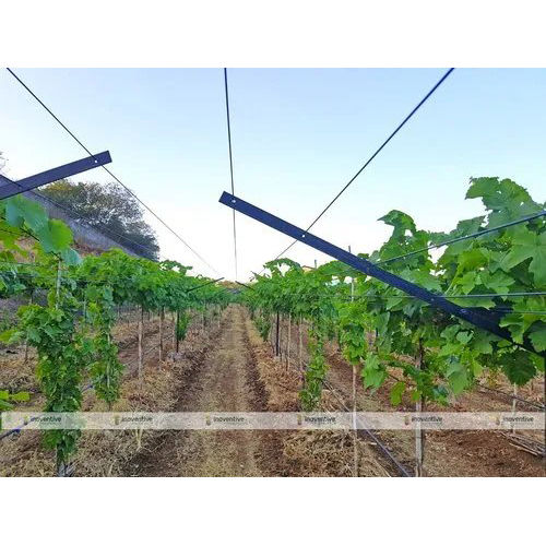 3.5mm Agriculture PET Wire For Grapes