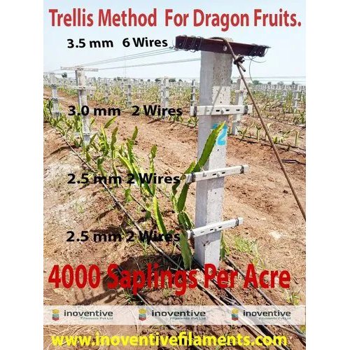 3.5mm Agrosia PET Agriculture Wire for Dragon fruit