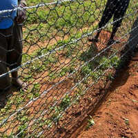 Garden Fencing Net - Polyethylene Terephthalate (pet), 100 Ft Roll X Up To 10 Ft Height, Black Color, Uv Stabilized, Rust Resistant, 1 Year Warranty