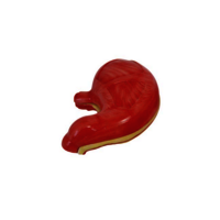 Xc-306 Stomach Model - Color: White-red