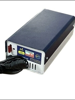 6A E-Bike Battery Charger