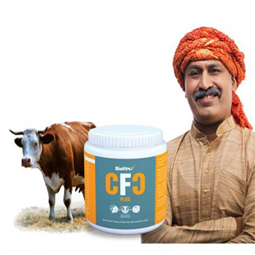 BIOFIT CFC PLUS DRY CATTLE FOOD 500GRMS