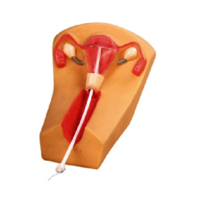 Gd/f5n Iud Training Simulator - Color: Multicolor