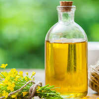 Refined Canola Oil