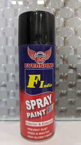Aerosol Touch Up Paint