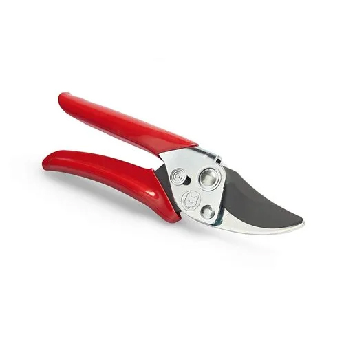 Pruneng Secateur