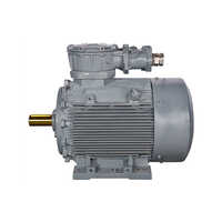 Electric Motor