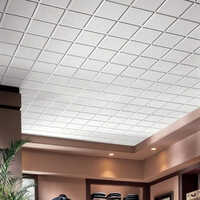 24x24 Inch Ceiling Grid Tiles
