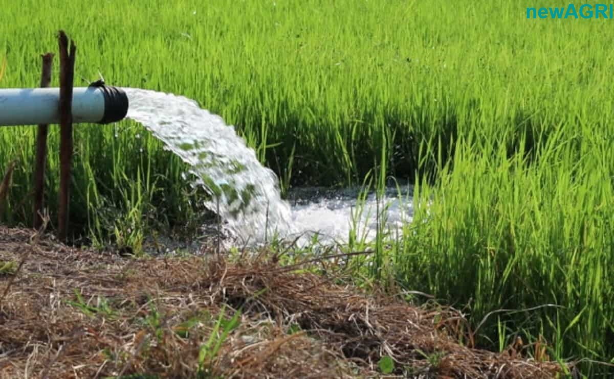 10 hp water pump