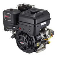 13 Hp Series 2100 Briggs And Stratton Single Cylinder Petrol Engine - Application: Industrial