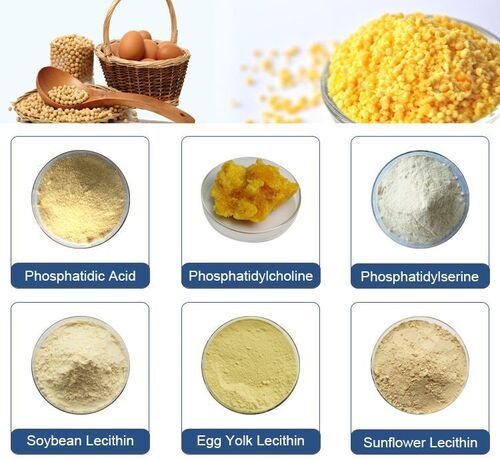 Yellow Soya Phosphatidycholine