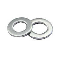 Stainless Steel Plain Washer Size: Customized