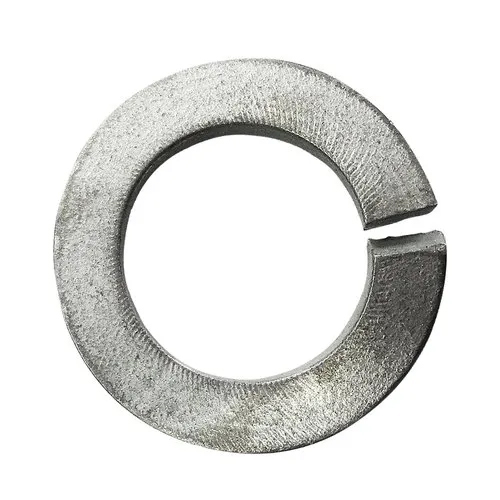 Stainless Steel Spring Washer