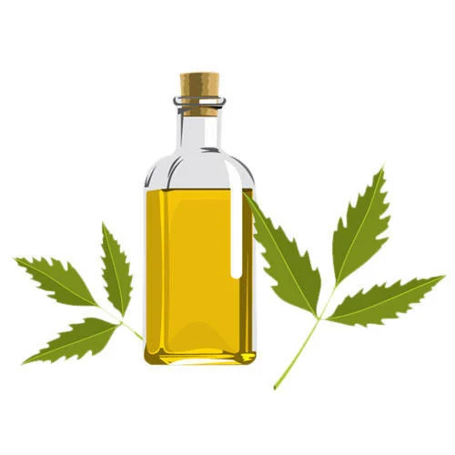 Neem Cold Press Oil