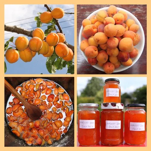 Peach Chutney Preservative