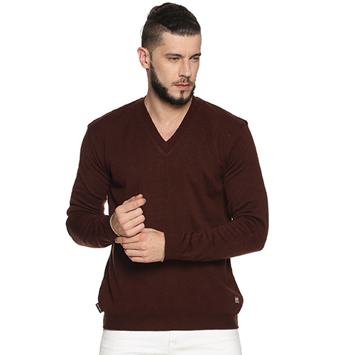 POR 38 Mens V Neck Coffee Sweater