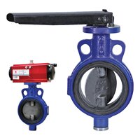 C.i Butterfly Valve With S.g Iron Disk Pn-16 - Color: Purple