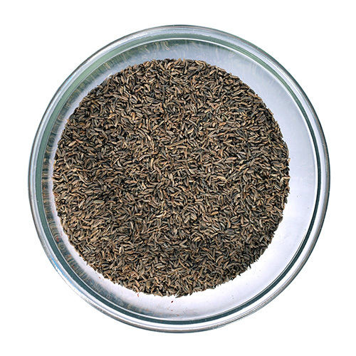 Caraway Seeds (Benium Persicum)