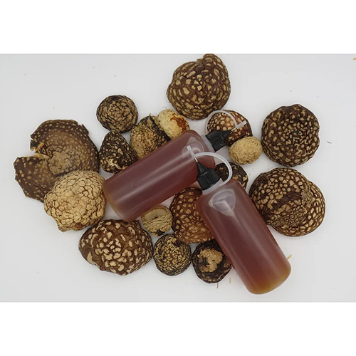 Common 100Ml Dry Amanita Regalis Dried Caps Tincture