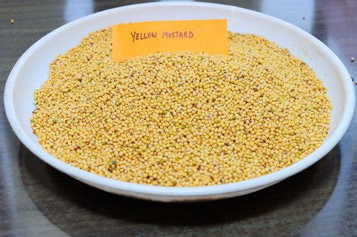 Yellow Mustard