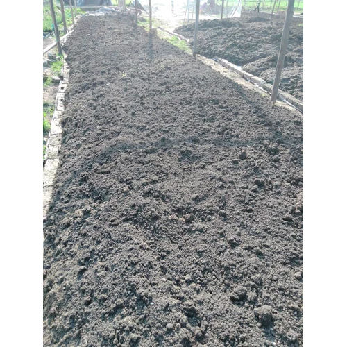 Agriculture Planting Soil