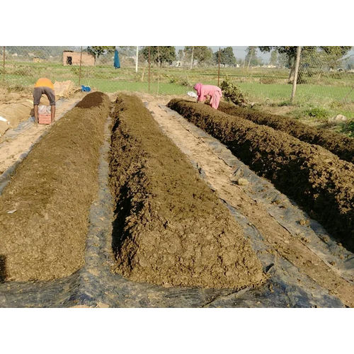 Agriculture Vermicompost Beds