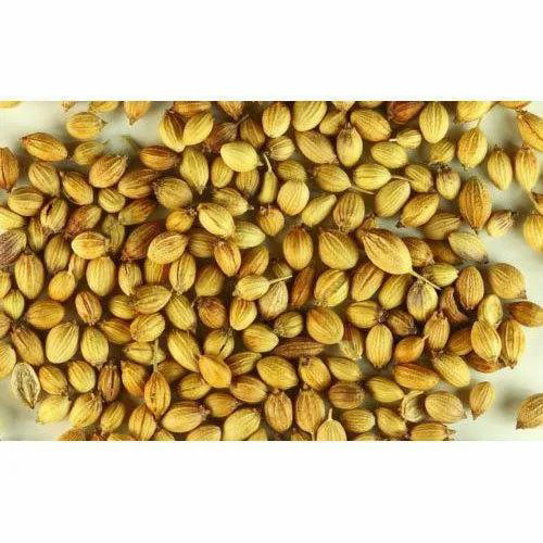 Raw Coriander Seeds