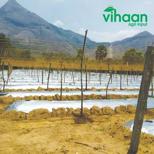 30 Micron Agro Mulching Film